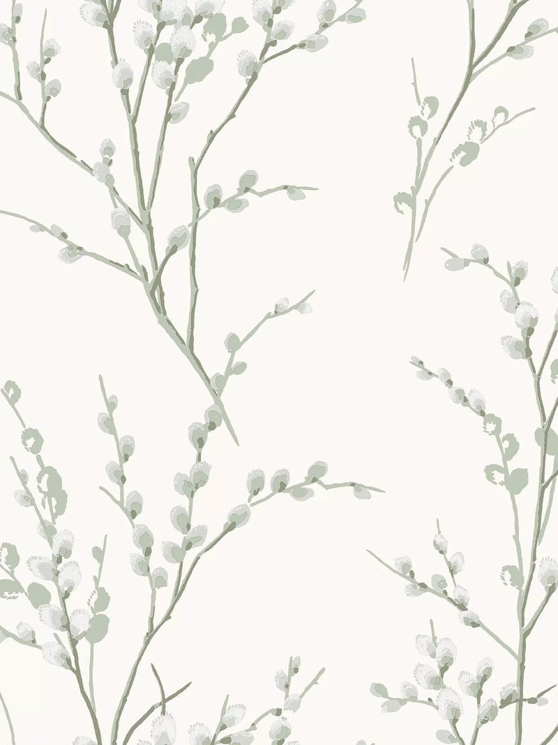 Pussy Willow Floral Wallpaper in Natural Tones