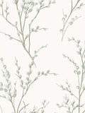 Pussy Willow Floral Wallpaper in Natural Tones