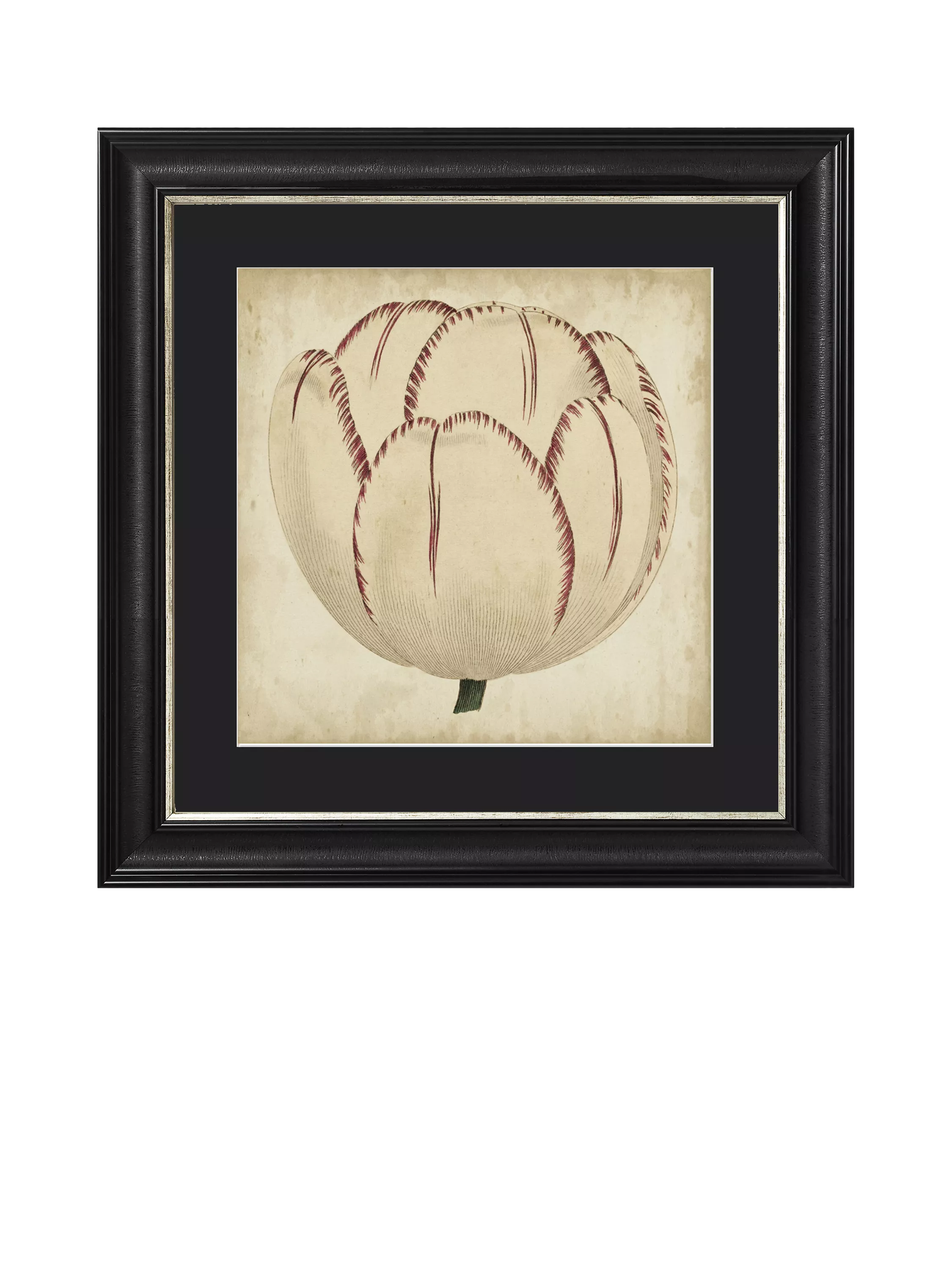 Brookpace Lascelles Pop Floral I framed print 49x49cm, imported from the UK