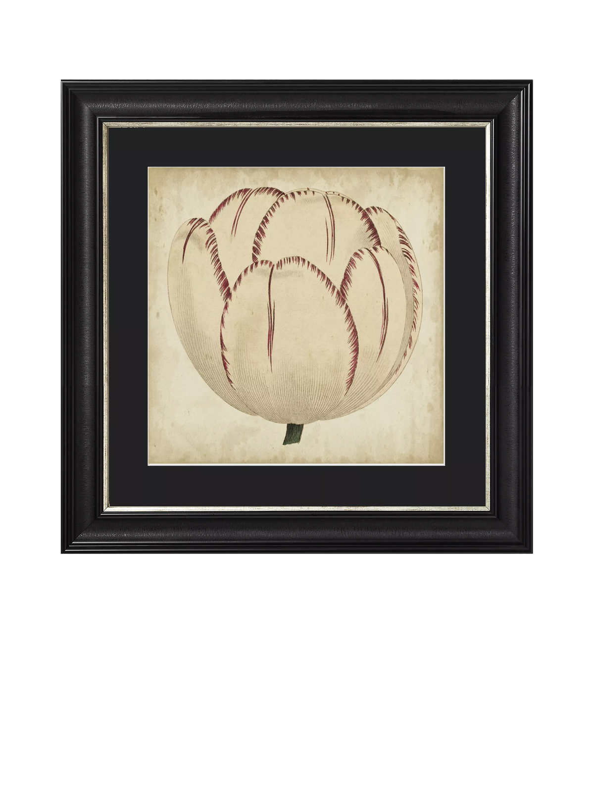 Brookpace Lascelles Pop Floral I framed print 49x49cm, imported from the UK