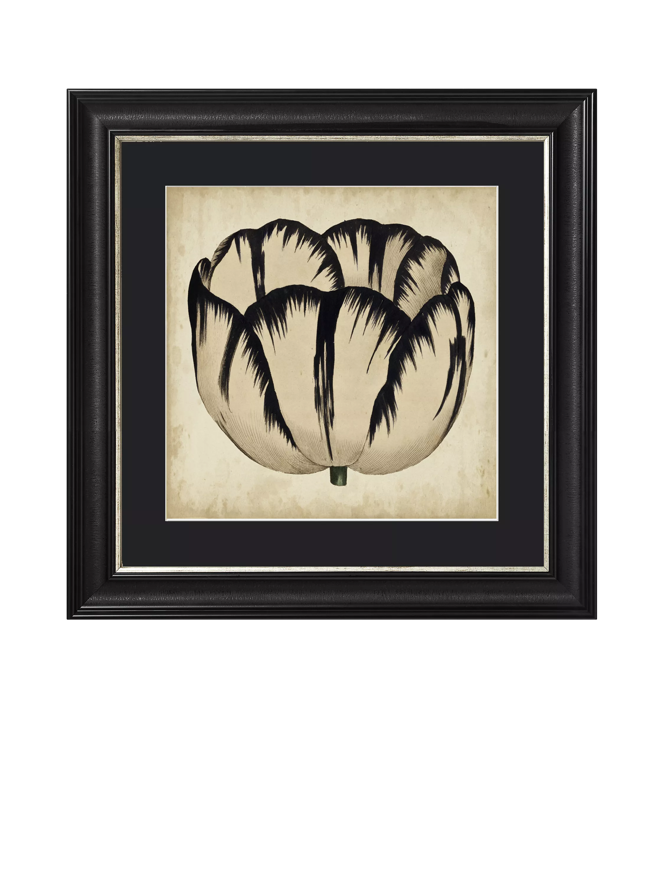 Brookpace Lascelles 'Pop Floral IV' framed print 49x49cm, UK version