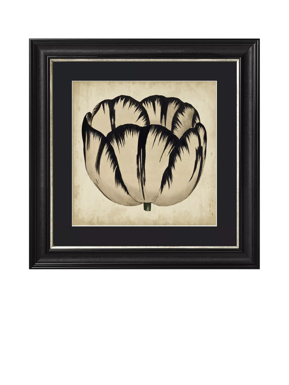 Brookpace Lascelles 'Pop Floral IV' framed print 49x49cm, UK version