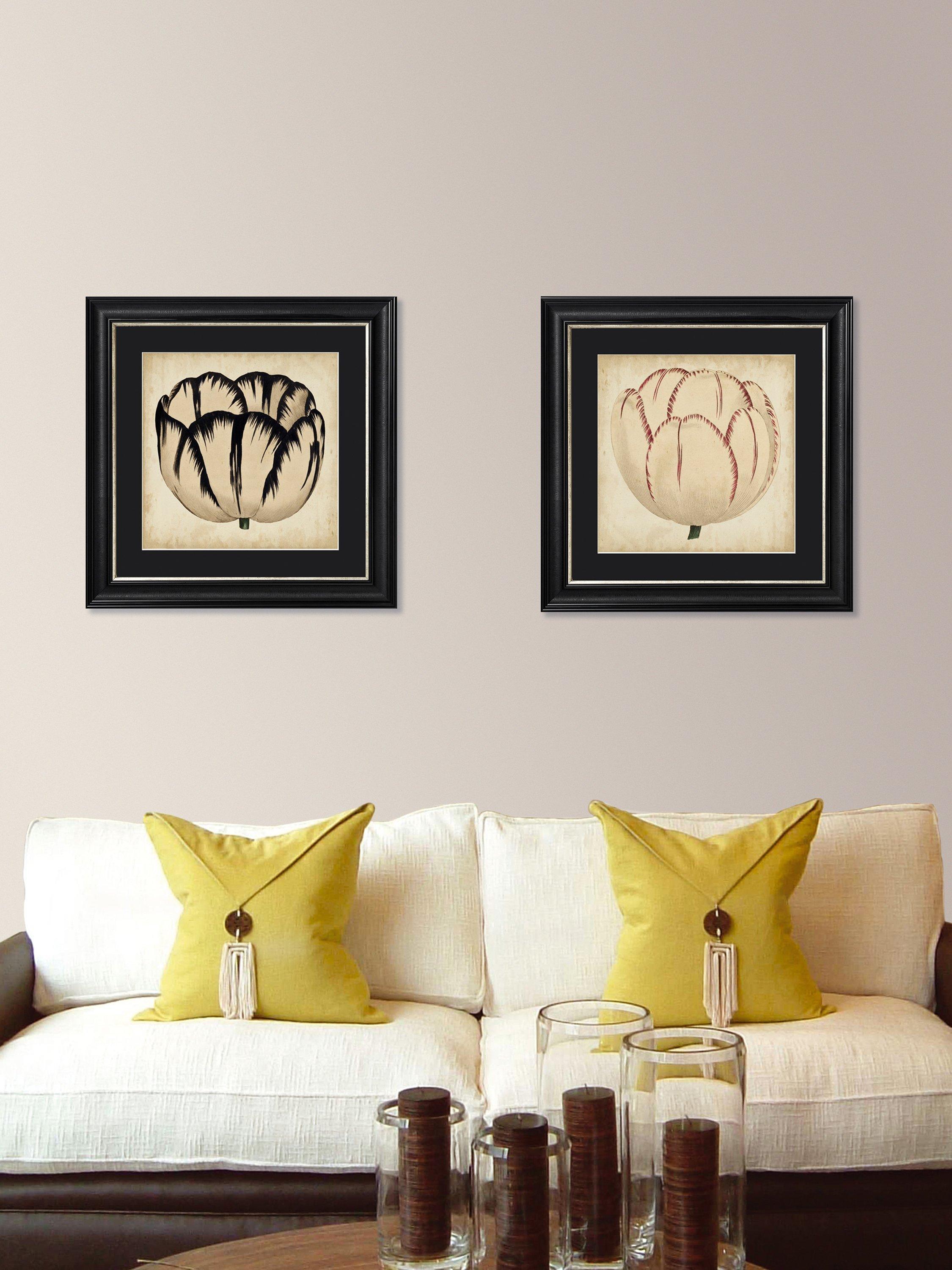 Brookpace Lascelles 'Pop Floral IV' framed print 49x49cm, UK version