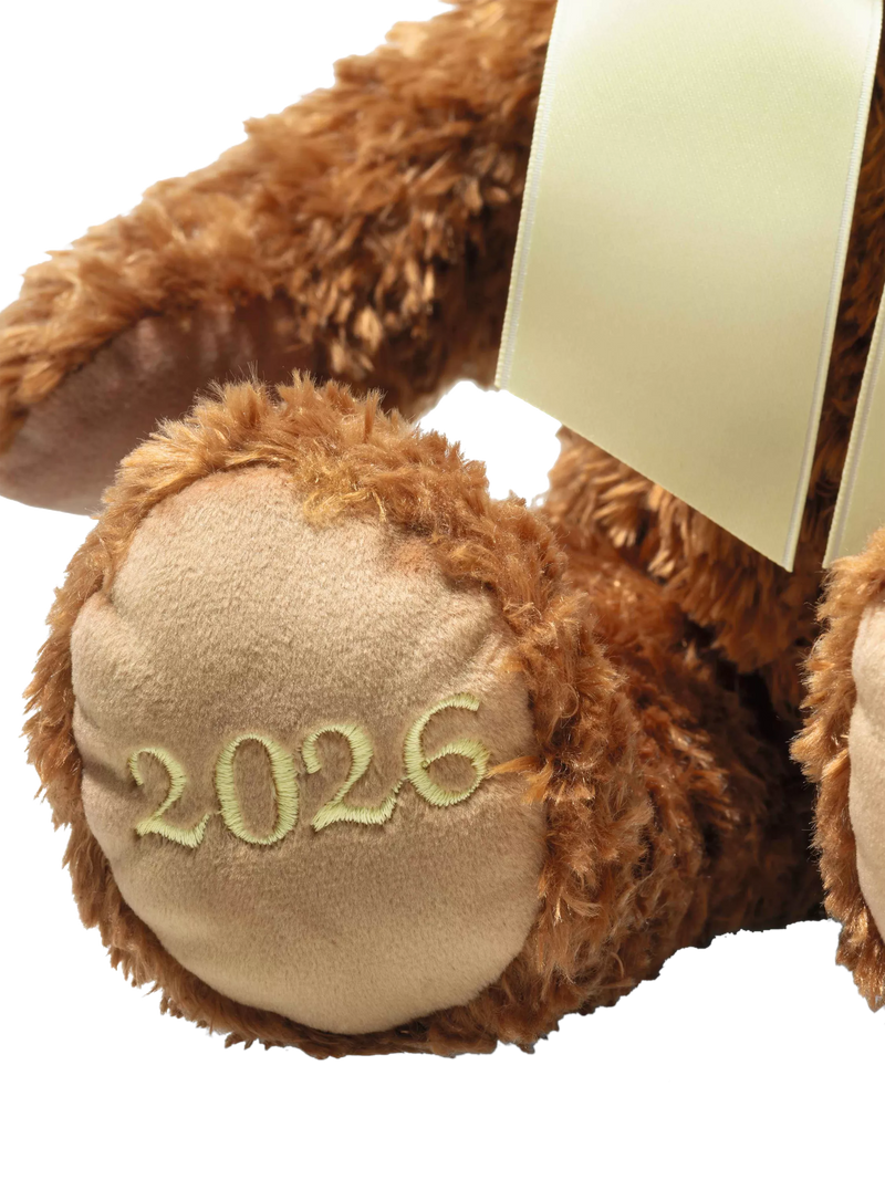 Steiff Cosy Teddy Bear 31cm 2026 (British brand)