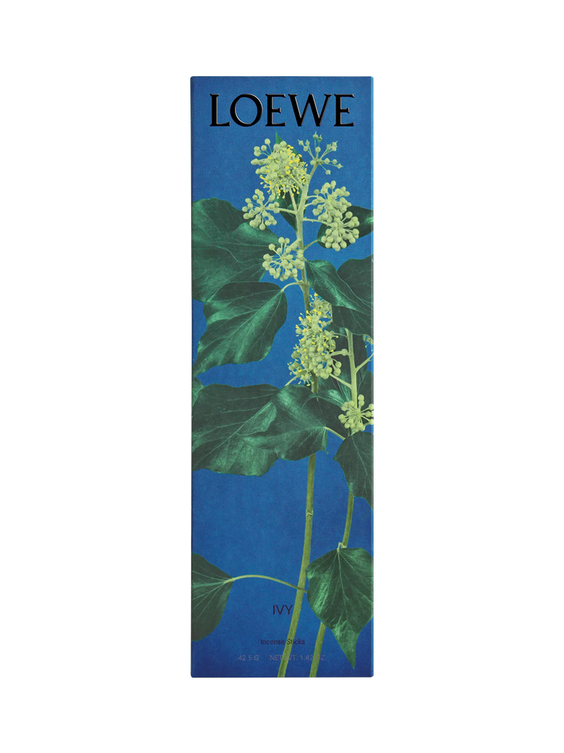 LOEWE Ivy incense sticks refill 25 sticks, imported from the UK