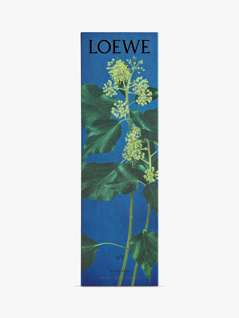 LOEWE Ivy incense sticks refill 25 sticks, imported from the UK