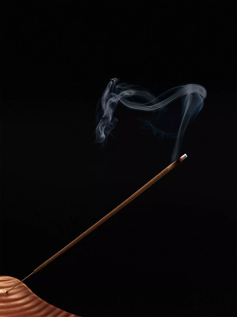 LOEWE Ivy incense sticks refill 25 sticks, imported from the UK