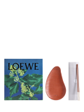LOEWE Ivy Incense Sticks Set bamboo sticks terracotta holder - British product