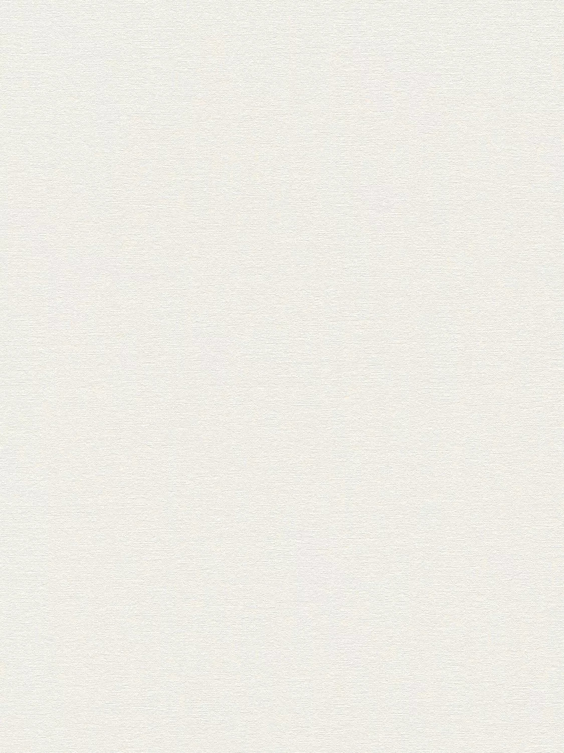 Galerie Rustic Texture Wallpaper 10m x 53cm