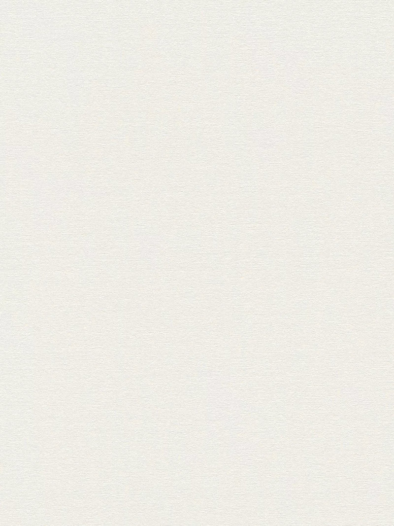Galerie Rustic Texture Wallpaper 10m x 53cm