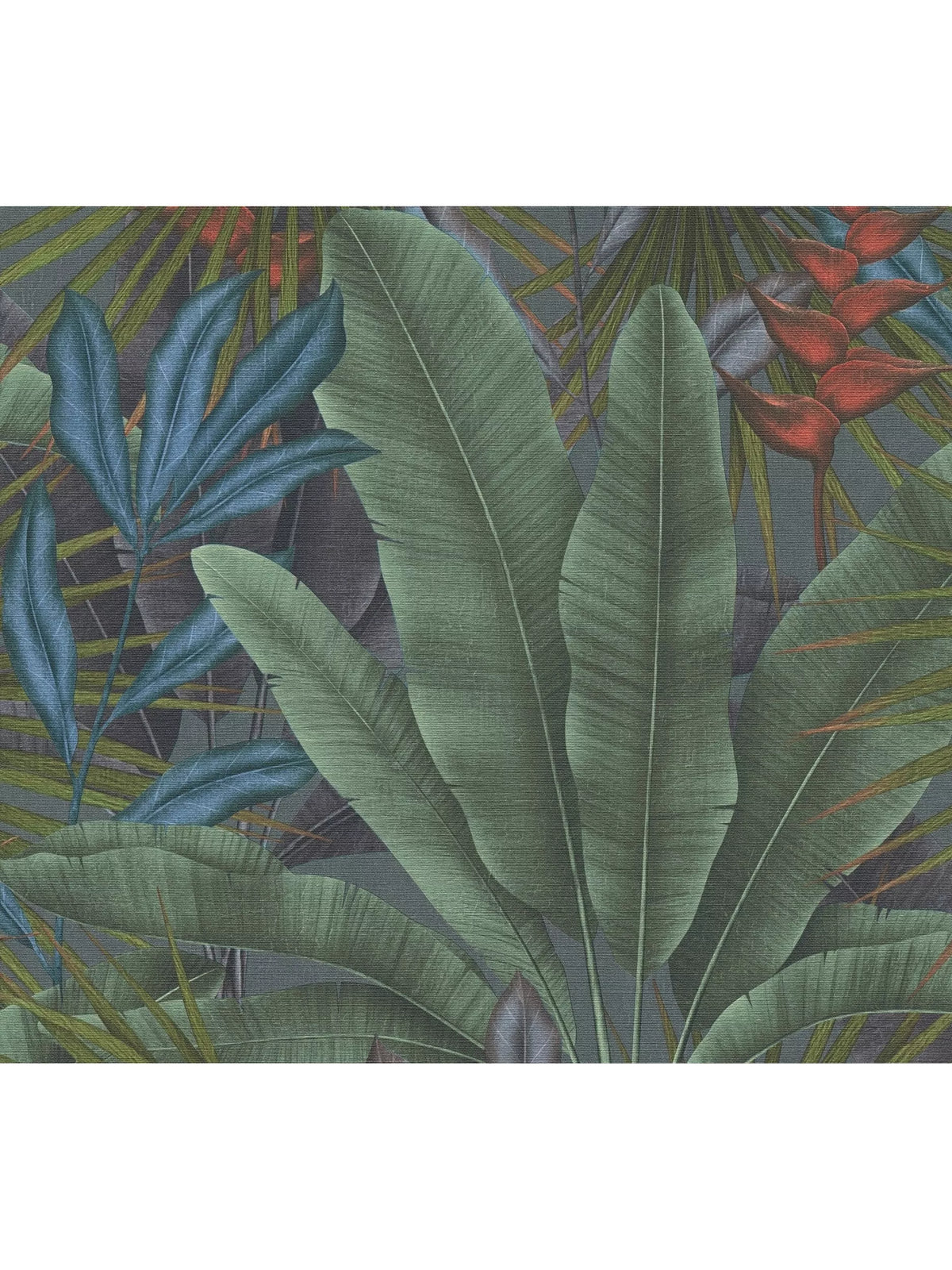 Galerie tropical leaves wallpaper 1005x53 cm (British brand)