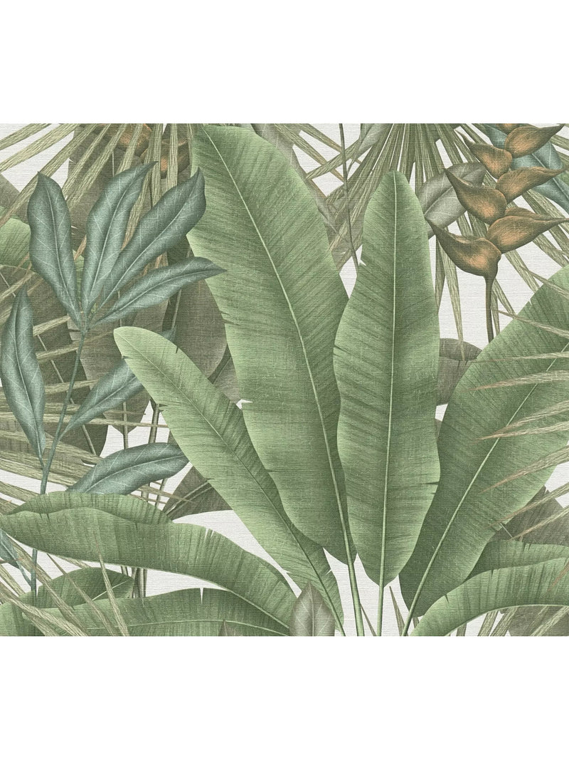 Galerie Tropical Leaves Vinyl Wallpaper 10.05m x 53cm