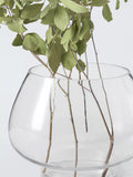 John Lewis oval glass vase 28.5cm clear (British brand)
