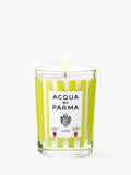 Limited Edition Olive Wood Scented Candle 200g in Green and White Jar