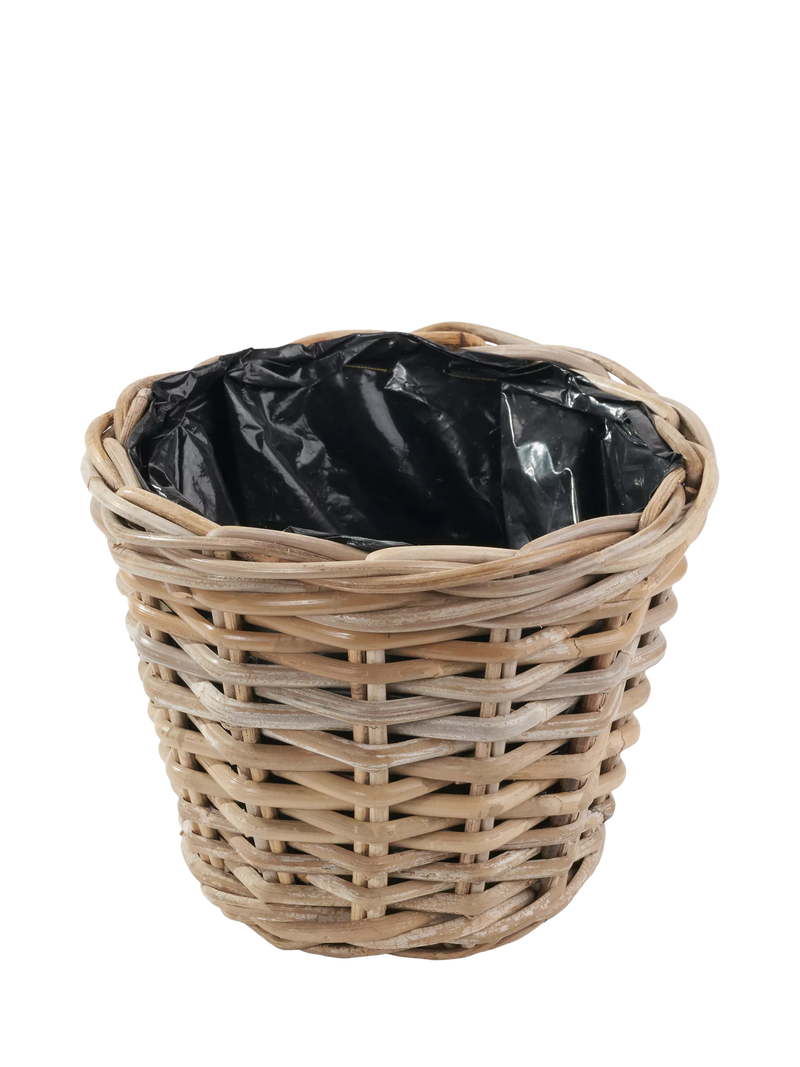 Pacific Kubu rattan basket planter medium, imported from the UK