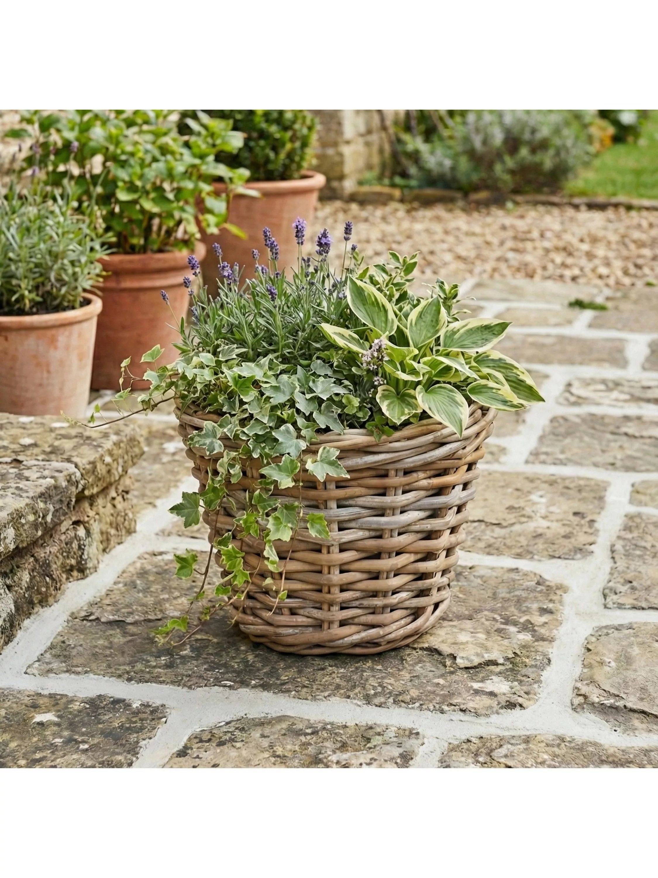 Pacific Kubu rattan basket planter medium, imported from the UK