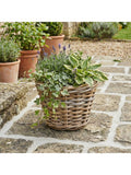 Pacific Kubu rattan basket planter medium, imported from the UK