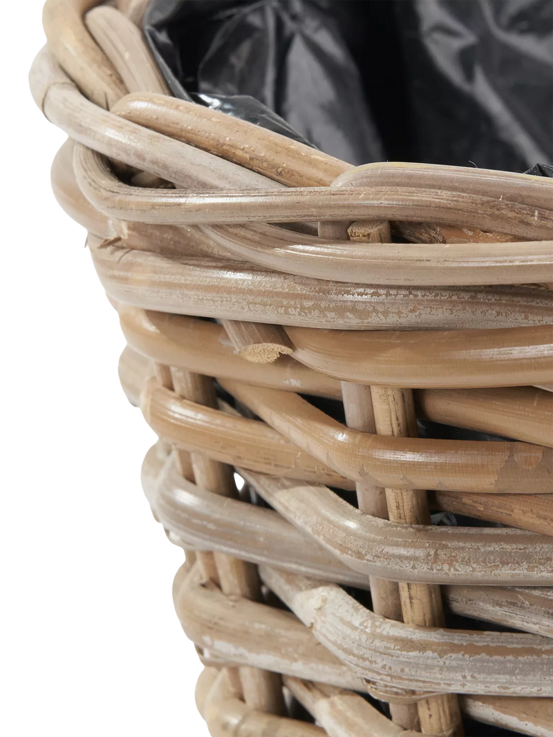 Pacific Kubu rattan basket planter medium, imported from the UK