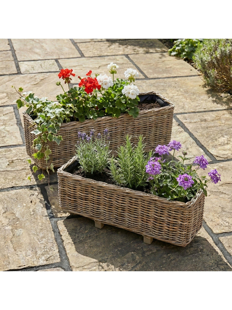 Pacific rattan trough planter set of 2 brown - British product