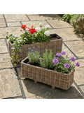 Pacific rattan trough planter set of 2 brown - British product