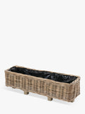 Pacific rattan trough planter set of 2 brown - British product