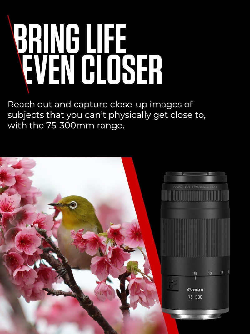 Canon telephoto zoom lens F4-5.6 75-300mm (British brand)