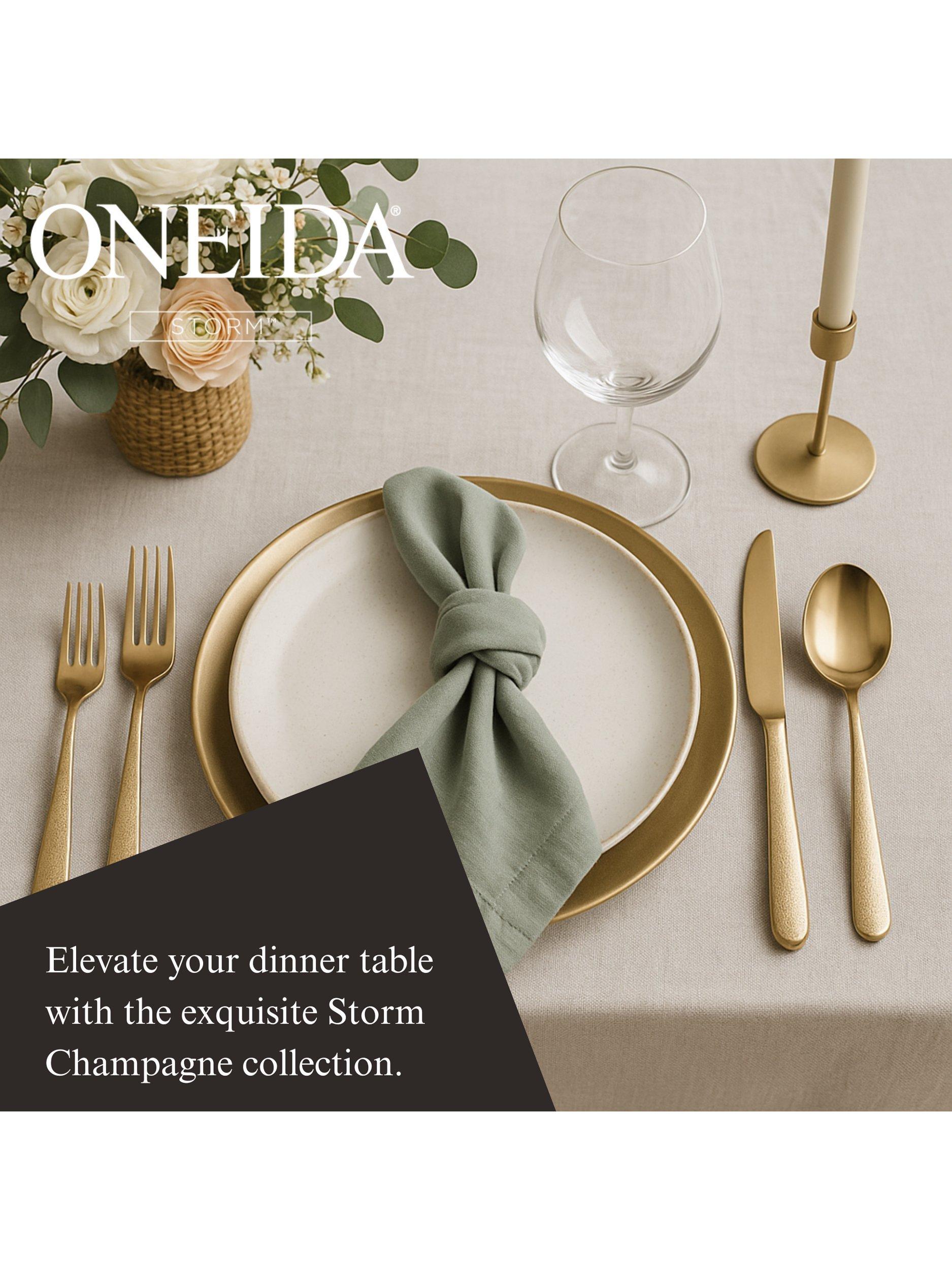 Oneida cutlery set Storm champagne 20 piece (British brand)