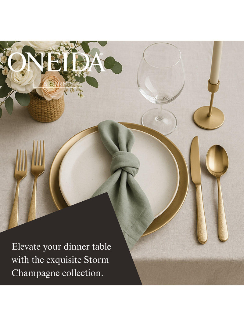 Oneida cutlery set Storm champagne 20 piece (British brand)