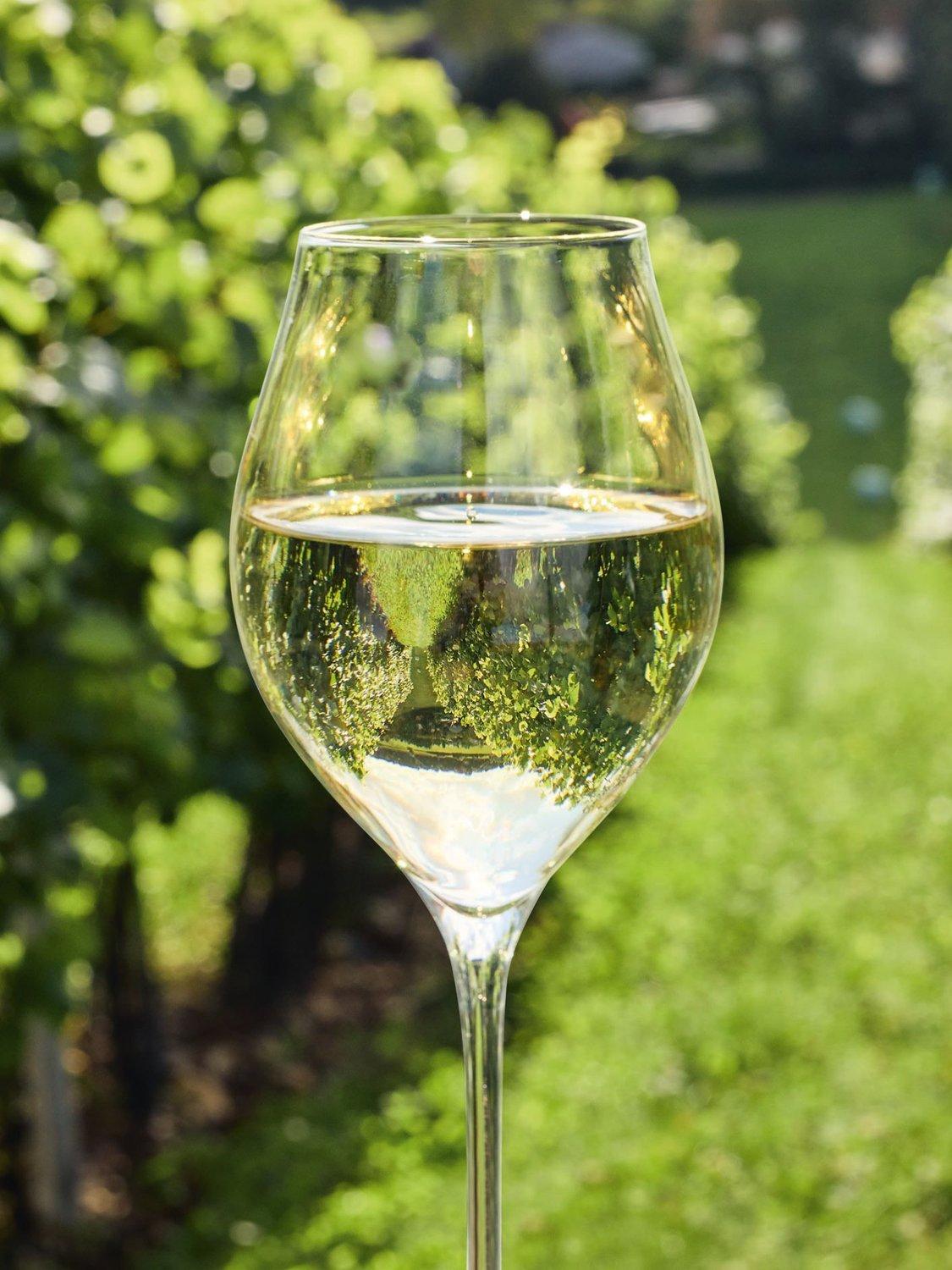 Chef&Sommelier Exaltation crystal wine glasses set of 6 470ml, imported from the UK