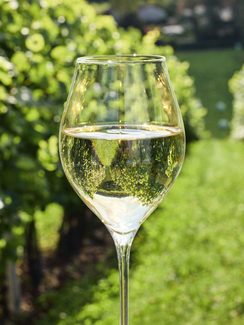 Chef&Sommelier Exaltation crystal wine glasses set of 6 470ml, imported from the UK