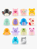 Squishmallows Squish-a-longs Mini-Squish 14-pack - British product