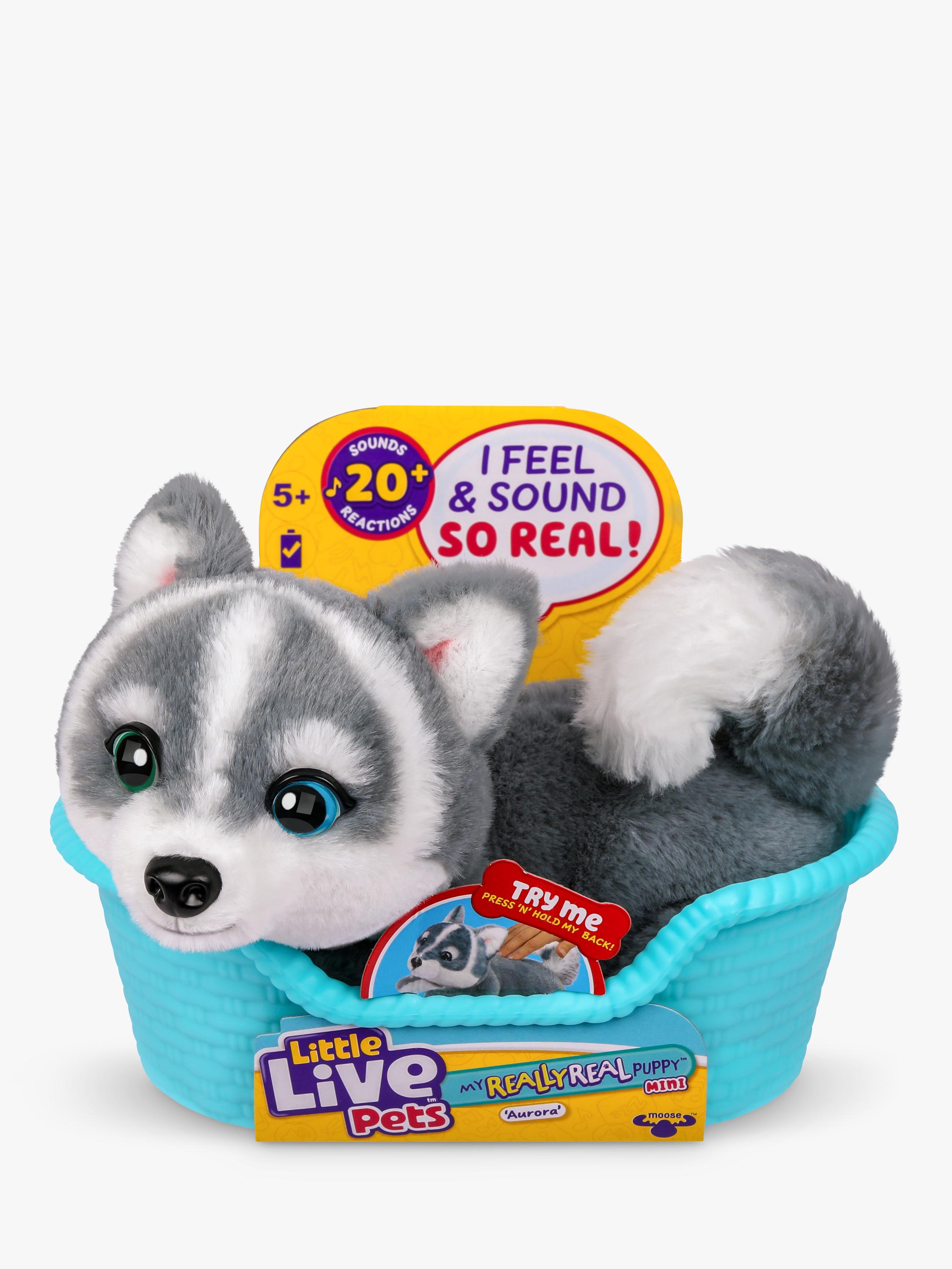 Little Live Pets Husky puppy mini toy Aurora, UK version
