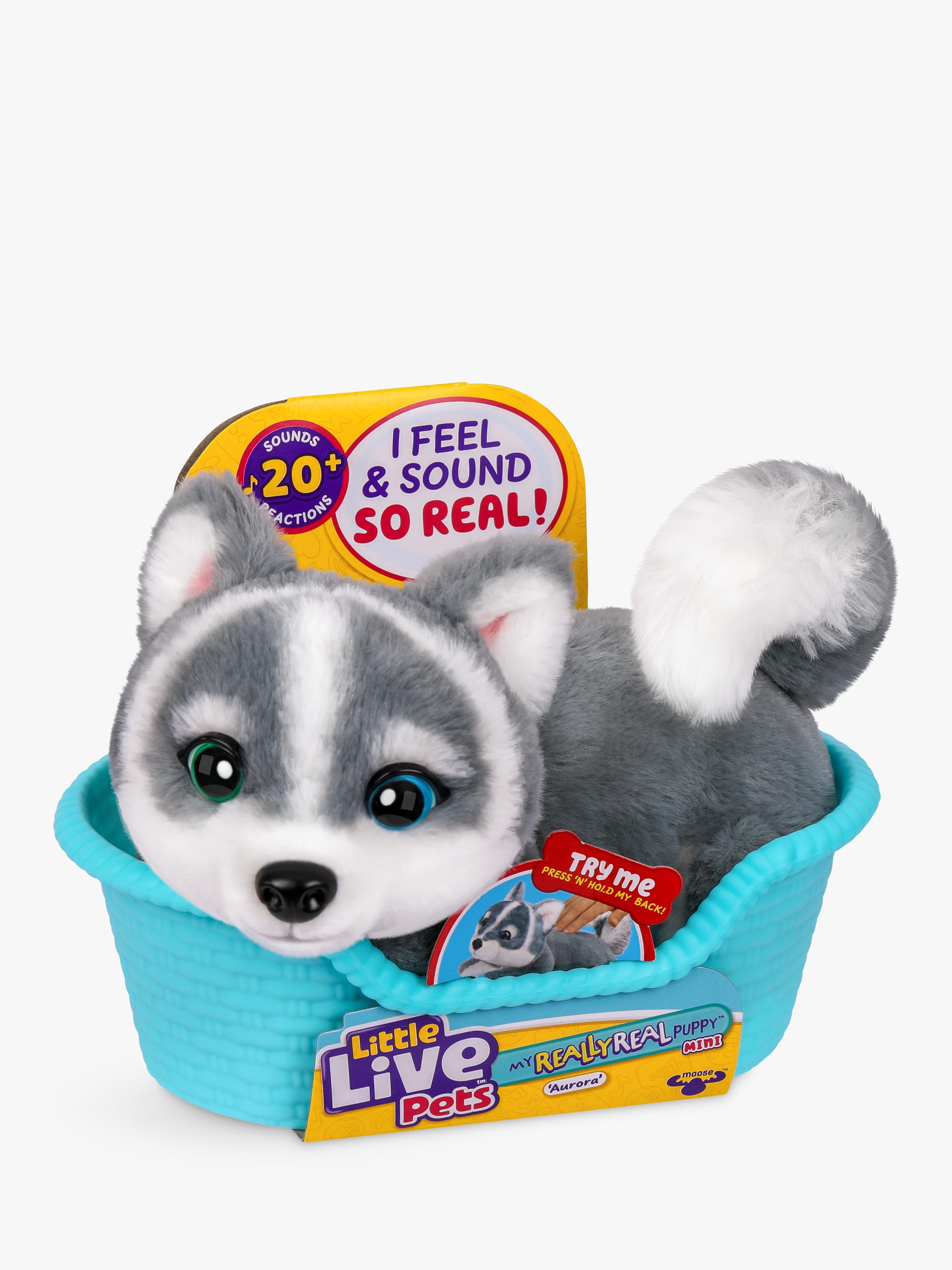 Little Live Pets Husky puppy mini toy Aurora, UK version