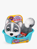 Little Live Pets Husky puppy mini toy Aurora, UK version