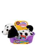 Little Live Pets interactive puppy toy Mini Pepper, UK version