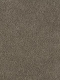 Turtle Mat Multi Grip Door Mat, Mocha, L75 x W50cm