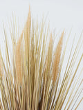 John Lewis dried grass in reactive glaze ceramic pot H61cm, UK version