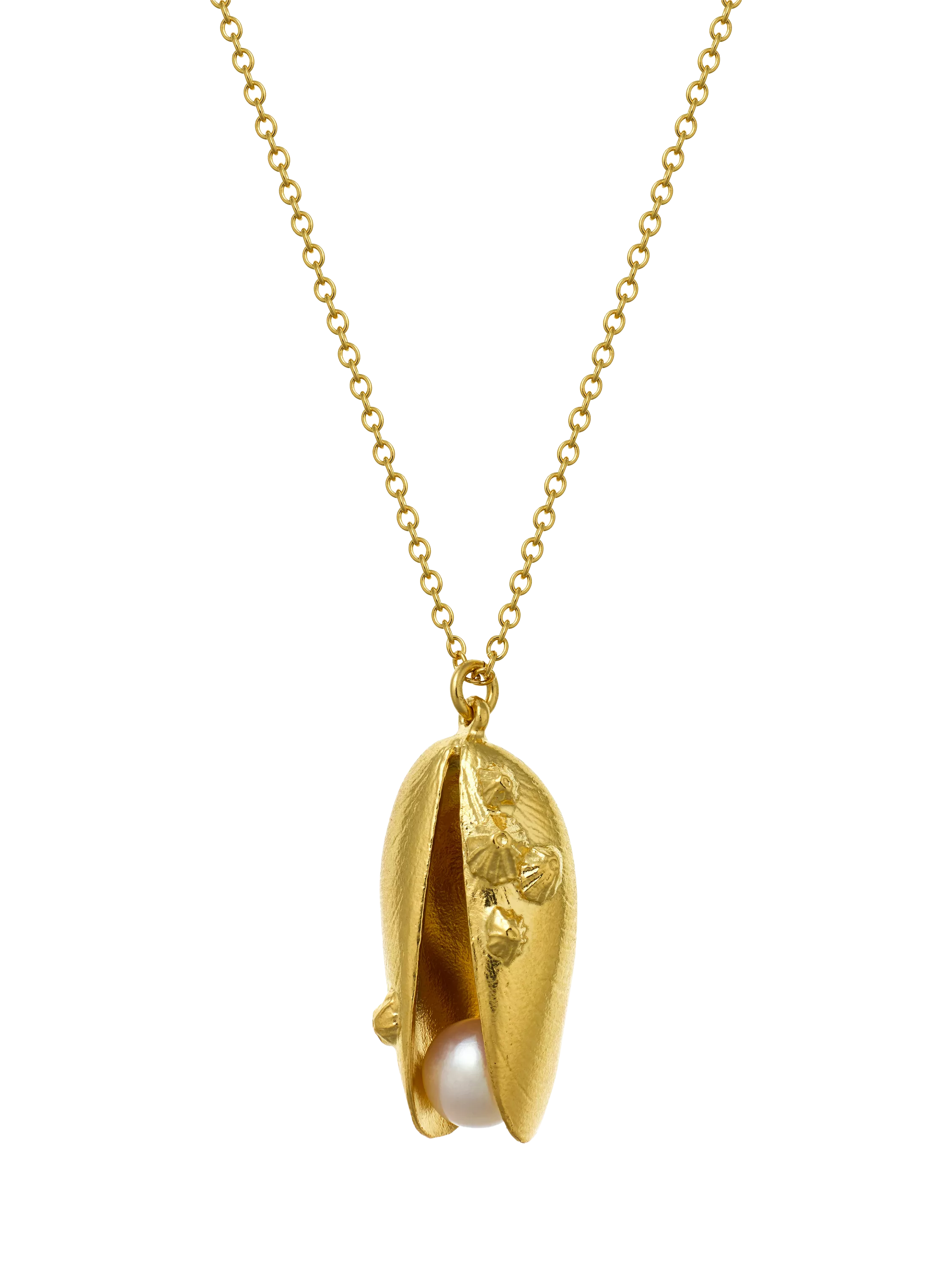 Alex Monroe mussel shell pearl necklace gold (British brand)