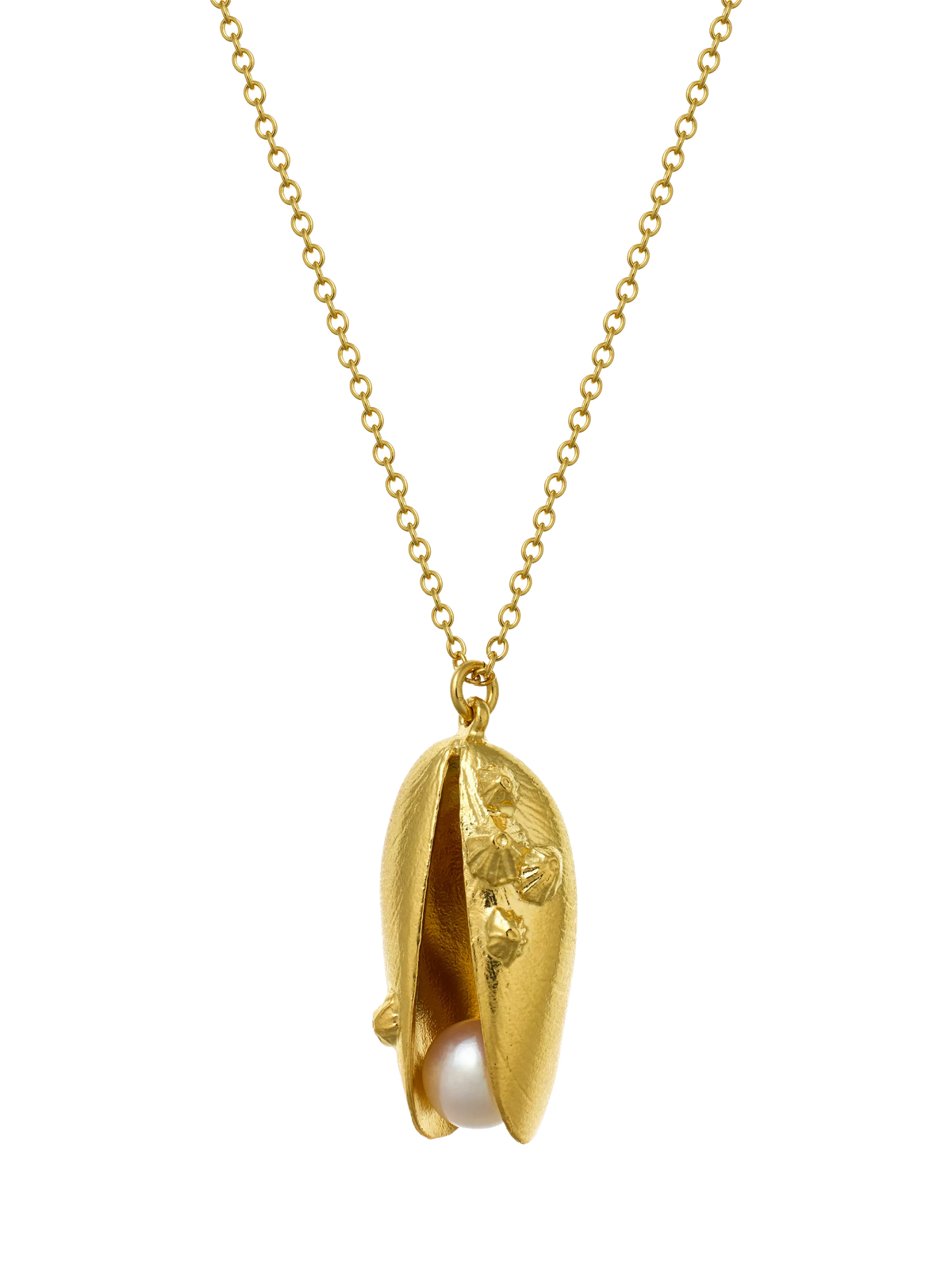 Alex Monroe mussel shell pearl necklace gold (British brand)