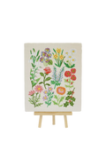 Caterpillar Cross Stitch Birthday Botanicals cross stitch kit, UK version