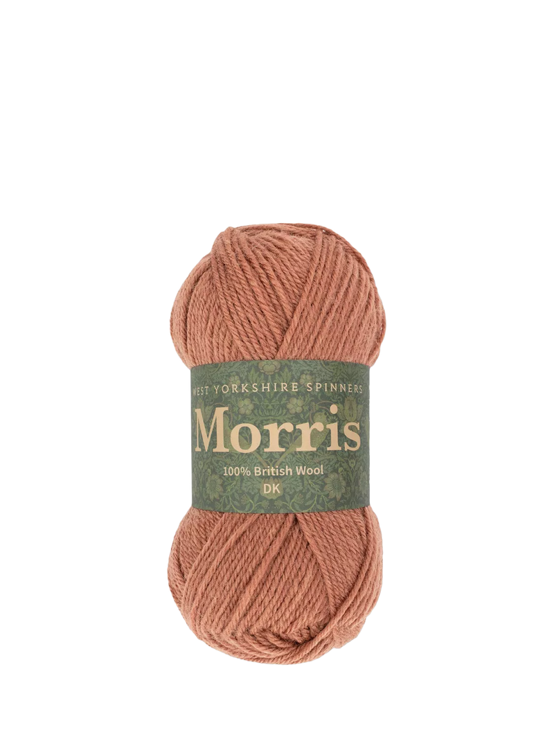 West Yorkshire Spinners Morris DK Knitting Yarn, 50g