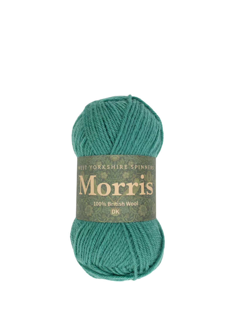 West Yorkshire Spinners Morris DK Knitting Yarn, 50g