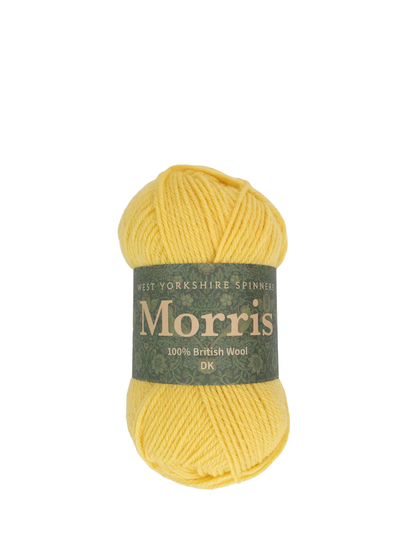 West Yorkshire Spinners Morris DK Knitting Yarn, 50g