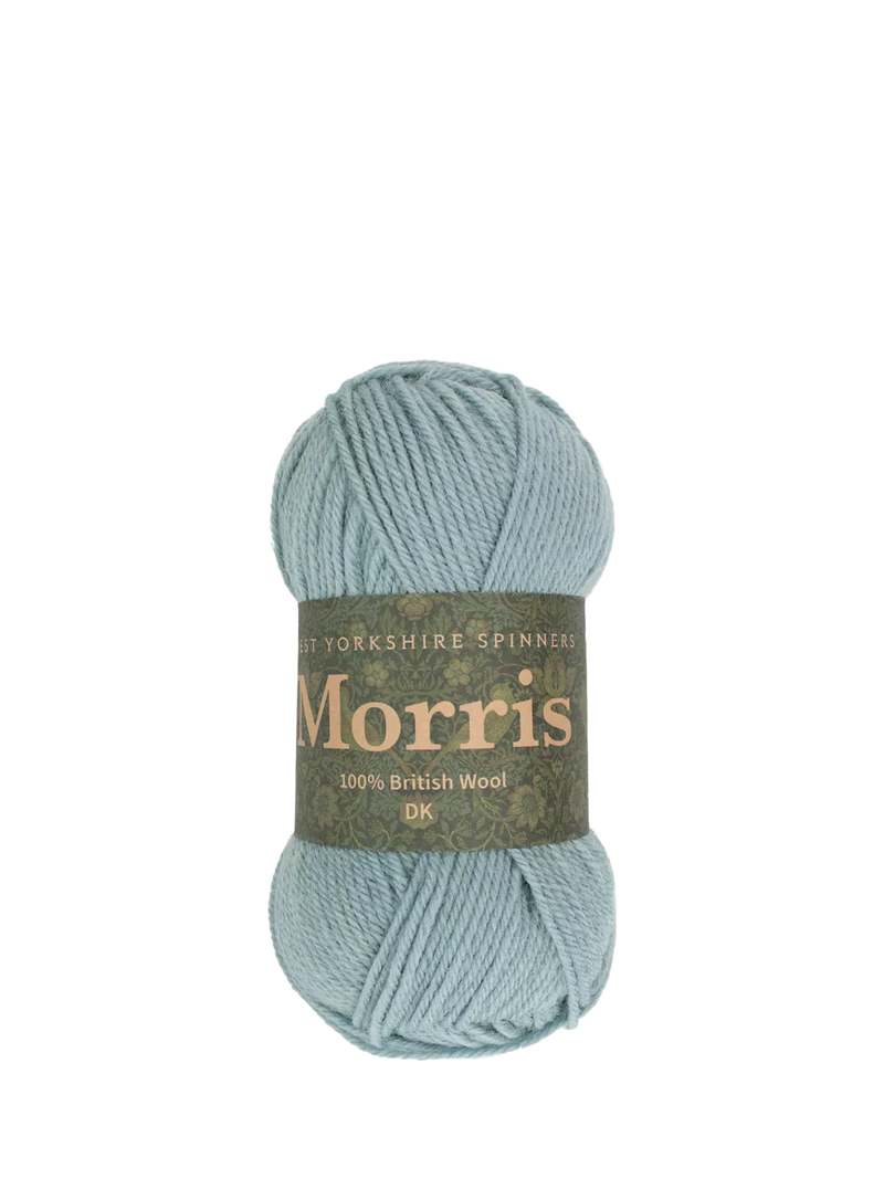 West Yorkshire Spinners Morris DK Knitting Yarn, 50g