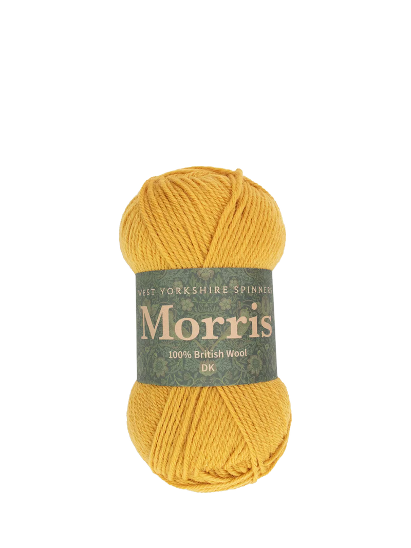 West Yorkshire Spinners Morris DK Knitting Yarn, 50g