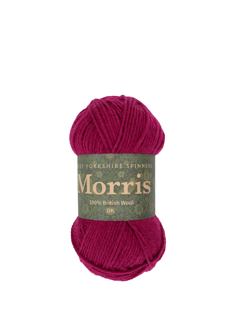 West Yorkshire Spinners Morris DK Knitting Yarn, 50g