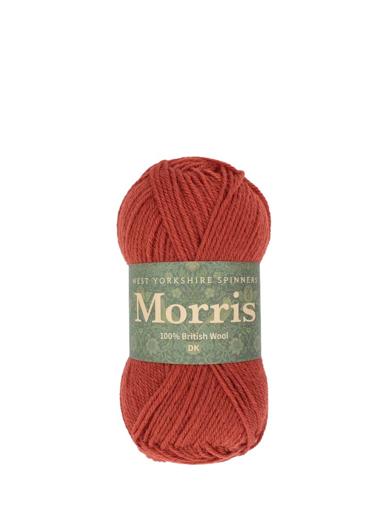 West Yorkshire Spinners Morris DK Knitting Yarn, 50g