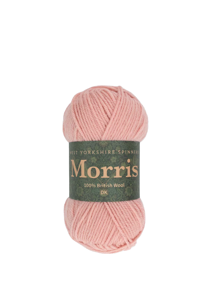 West Yorkshire Spinners Morris DK Knitting Yarn, 50g