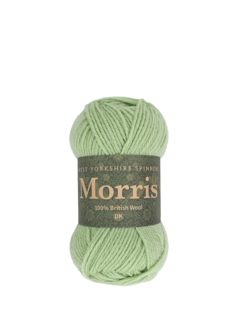 West Yorkshire Spinners Morris DK Knitting Yarn, 50g