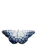 Poole Pottery butterfly ornaments set of 2 ocean blue - British product